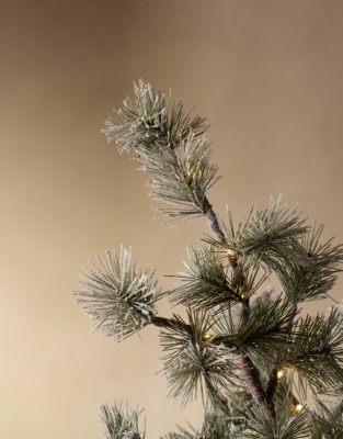Pre-Lit Frosted Branch