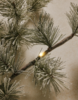 Pre-Lit Frosted Branch
