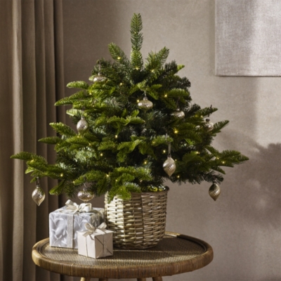 Pre Lit Tree 3ft Christmas Trees The White Company UK