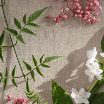 Primrose Hill Luxury Home Spray