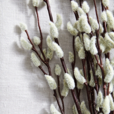 Pussy Willow Branches Set of 5 Decorative Accessories The White