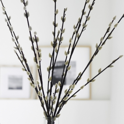 Pussy Willow Branches Set of 5 Decorative Accessories The White
