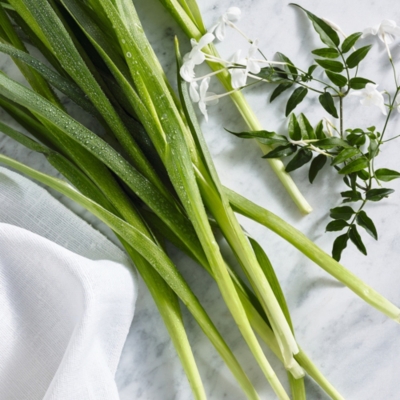 Rainfall Diffuser Candles & Fragrance Sale The White Company UK