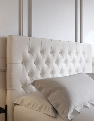 Almond Cotton