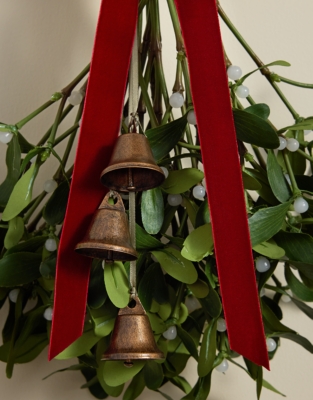 Rustic Mistletoe Swag
