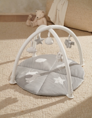 Safari Animals Activity Gym