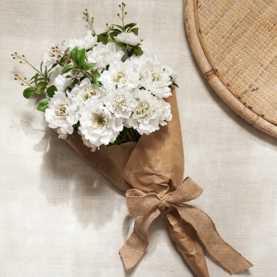 Scabiosa Bunch