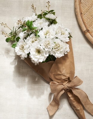 Scabiosa Bunch