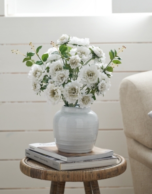 Scabiosa Bunch