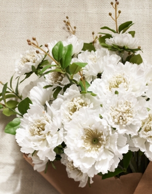 Scabiosa Bunch