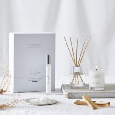 Sea Salt Mini Home Scenting Gift Set