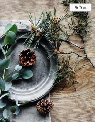 Seasonal Fragrance Oil Gift Set