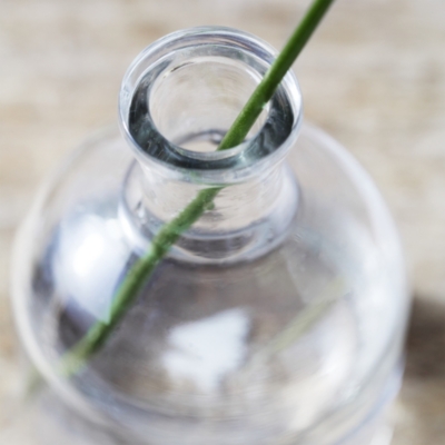 Short Bud Vase Vases The White Company UK