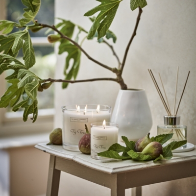 Signature Fig Tree Candle Candles & Fragrance Sale The White Company US