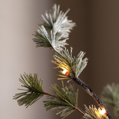 Snowy Pine Pre Lit Branch 