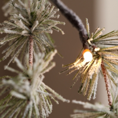 Snowy Pine Pre Lit Branch 