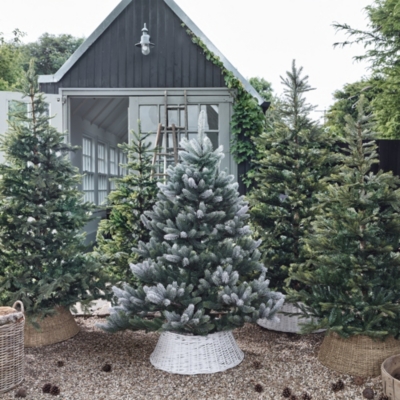 Snowy Symons Christmas Tree – 6ft | Christmas Trees | The White Company UK