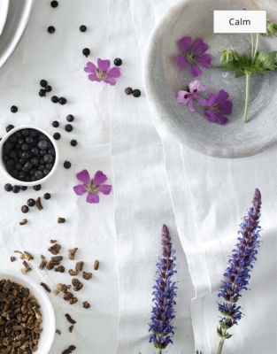 Spa Fragrance Oil Set