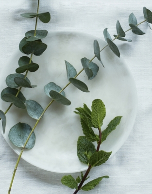 Spa Restore Fragrance Oil