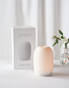Spa Wellness Pod Electronic Diffuser