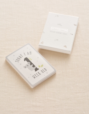 Special Moment Cards