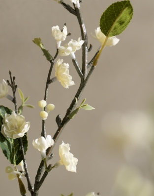Spring Blossom Stems – Set of 3