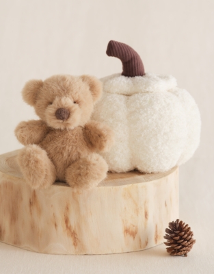 Surprise Pumpkin Bear