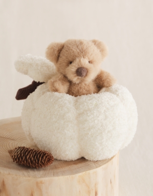 Surprise Pumpkin Bear