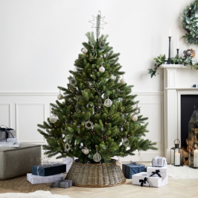Symons Nordmann Fir Christmas Tree - 6ft | Christmas Trees | The White ...