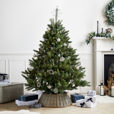 Symons Nordmann Fir Christmas Tree 6ft Christmas Trees The White