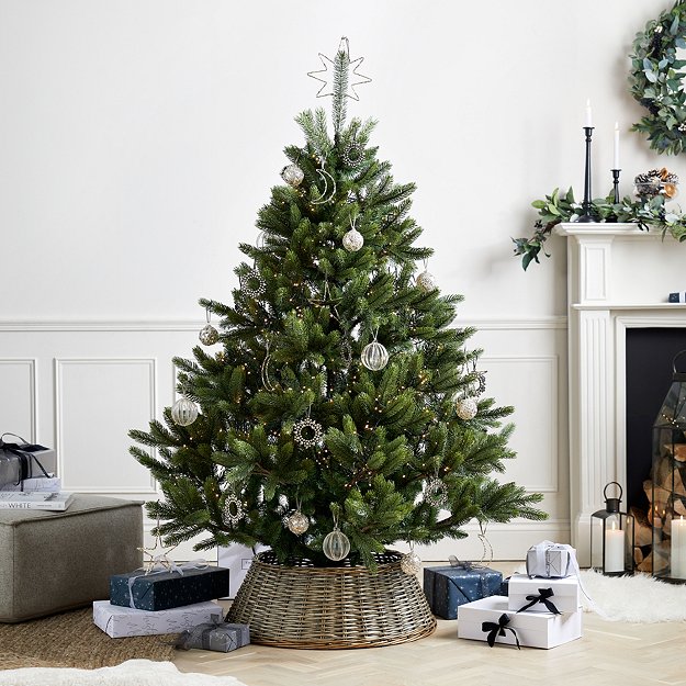 Symons Nordmann Fir Christmas Tree - 6ft | Christmas Trees | The  White Company