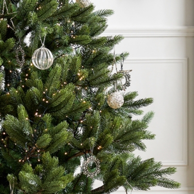 Symons Nordmann Fir Christmas Tree 6ft Christmas Trees The White Company UK
