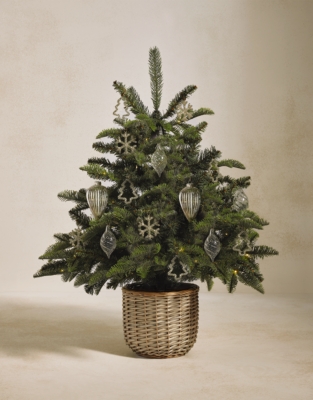 The Complete Tree Set: All in miniature