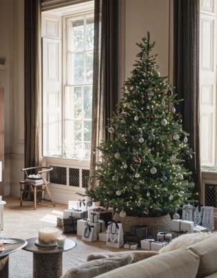 The Complete Tree Set: Chocolate Tones
