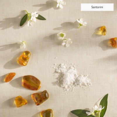 The Edit Collection Fragrance Oil Gift Set