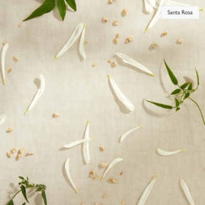 The Edit Collection Fragrance Oil Gift Set