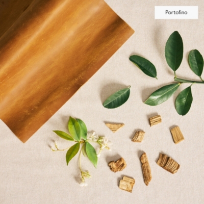 The Edit Collection Fragrance Oil Gift Set