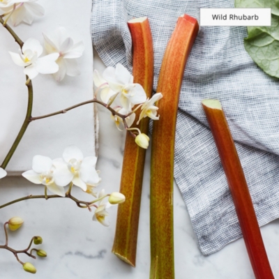 The Mini Diffuser Set Candles and Fragrance The White Company US