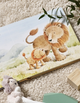 The Very Brave Lion Book by Wendy Ravenhill & Cee Biscoe