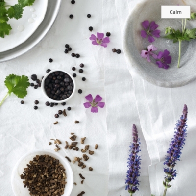 The White Company Discovery Hamper