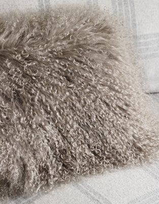 Truffle