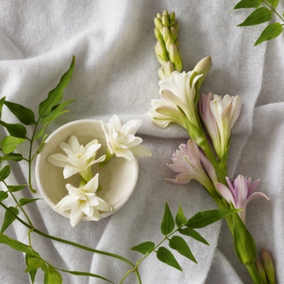 Tuberose & Cashmere Botanical Candle – Medium