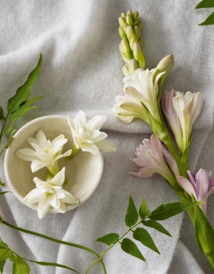 Tuberose & Cashmere Botanical Candle – Medium