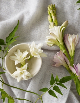 Tuberose & Cashmere Signature Candle