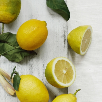 Verveine Signature Candle Signature Candles The White Company UK