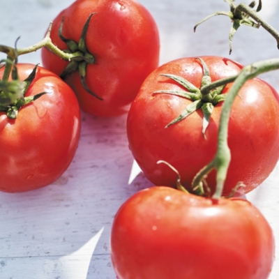 Vine Tomato Candle Candles & Fragrance Sale The White Company UK