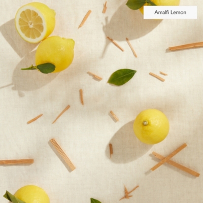 Waterless Electronic Diffuser & The Edit Collection Fragrance Oil Set