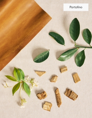 Waterless Electronic Diffuser & The Edit Collection Fragrance Oil Set