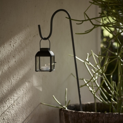 Westport Lantern