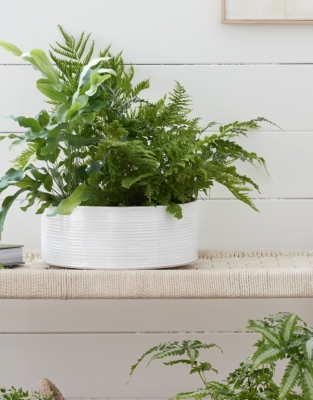 White Ribbed Ceramic Planter – Large